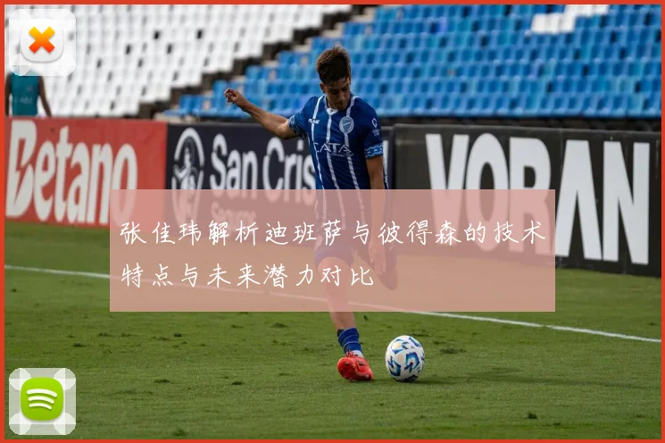 张佳玮解析迪班萨与彼得森的技术特点与未来潜力对比
